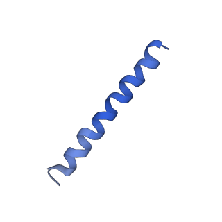 21813_6wky_B_v1-1
Cryo-EM of Form 1 related peptide filament, 29-24-3