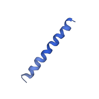 21813_6wky_B_v1-2
Cryo-EM of Form 1 related peptide filament, 29-24-3