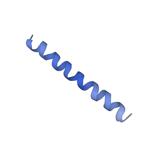 21813_6wky_C_v1-1
Cryo-EM of Form 1 related peptide filament, 29-24-3