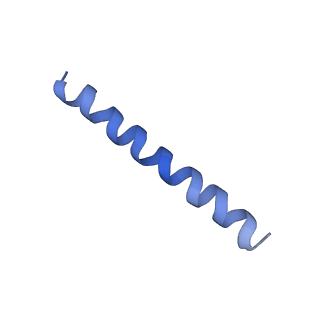 21813_6wky_C_v1-2
Cryo-EM of Form 1 related peptide filament, 29-24-3