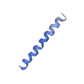 21813_6wky_D_v1-1
Cryo-EM of Form 1 related peptide filament, 29-24-3