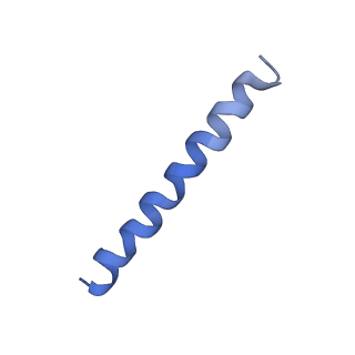 21813_6wky_D_v1-2
Cryo-EM of Form 1 related peptide filament, 29-24-3