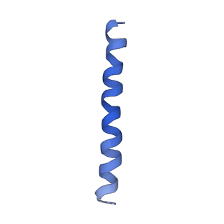 21813_6wky_F_v1-1
Cryo-EM of Form 1 related peptide filament, 29-24-3
