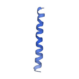 21813_6wky_F_v1-2
Cryo-EM of Form 1 related peptide filament, 29-24-3