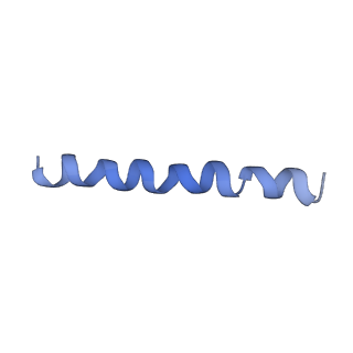 21813_6wky_G_v1-2
Cryo-EM of Form 1 related peptide filament, 29-24-3