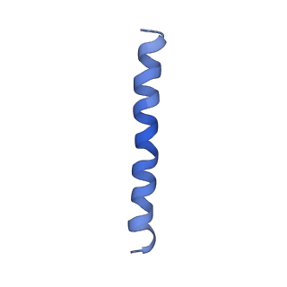 21813_6wky_H_v1-1
Cryo-EM of Form 1 related peptide filament, 29-24-3