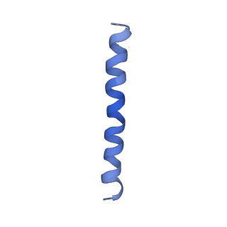 21813_6wky_H_v1-2
Cryo-EM of Form 1 related peptide filament, 29-24-3