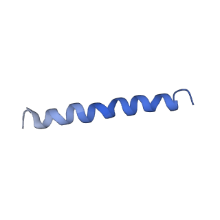 21813_6wky_I_v1-1
Cryo-EM of Form 1 related peptide filament, 29-24-3