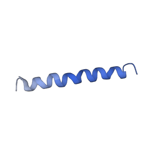 21813_6wky_I_v1-2
Cryo-EM of Form 1 related peptide filament, 29-24-3