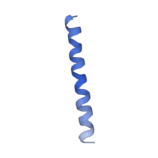 21813_6wky_J_v1-1
Cryo-EM of Form 1 related peptide filament, 29-24-3