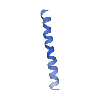 21813_6wky_J_v1-2
Cryo-EM of Form 1 related peptide filament, 29-24-3