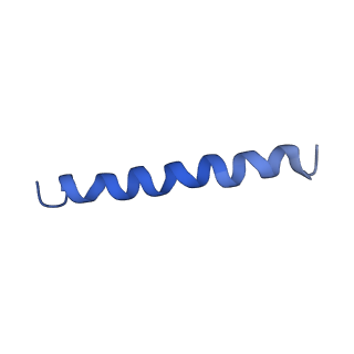 21813_6wky_K_v1-2
Cryo-EM of Form 1 related peptide filament, 29-24-3