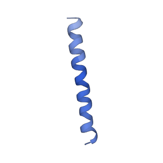 21813_6wky_L_v1-1
Cryo-EM of Form 1 related peptide filament, 29-24-3