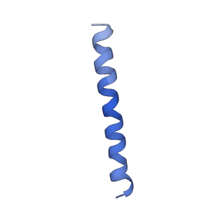 21813_6wky_L_v1-2
Cryo-EM of Form 1 related peptide filament, 29-24-3