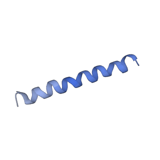 21813_6wky_M_v1-1
Cryo-EM of Form 1 related peptide filament, 29-24-3