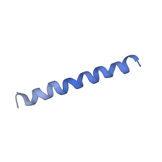 21813_6wky_M_v1-2
Cryo-EM of Form 1 related peptide filament, 29-24-3