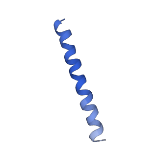 21813_6wky_N_v1-2
Cryo-EM of Form 1 related peptide filament, 29-24-3