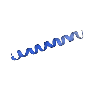 21813_6wky_O_v1-2
Cryo-EM of Form 1 related peptide filament, 29-24-3