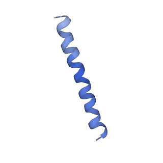 21813_6wky_P_v1-1
Cryo-EM of Form 1 related peptide filament, 29-24-3