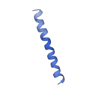 21813_6wky_P_v1-2
Cryo-EM of Form 1 related peptide filament, 29-24-3