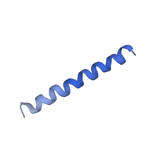 21813_6wky_Q_v1-1
Cryo-EM of Form 1 related peptide filament, 29-24-3
