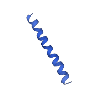 21813_6wky_R_v1-1
Cryo-EM of Form 1 related peptide filament, 29-24-3