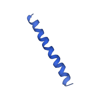 21813_6wky_R_v1-2
Cryo-EM of Form 1 related peptide filament, 29-24-3