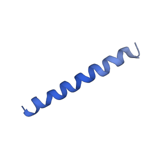 21813_6wky_S_v1-2
Cryo-EM of Form 1 related peptide filament, 29-24-3