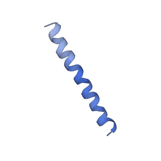 21813_6wky_T_v1-2
Cryo-EM of Form 1 related peptide filament, 29-24-3