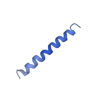 21813_6wky_a_v1-1
Cryo-EM of Form 1 related peptide filament, 29-24-3