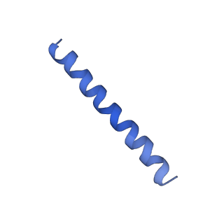 21813_6wky_b_v1-1
Cryo-EM of Form 1 related peptide filament, 29-24-3