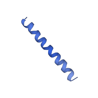 21813_6wky_b_v1-2
Cryo-EM of Form 1 related peptide filament, 29-24-3