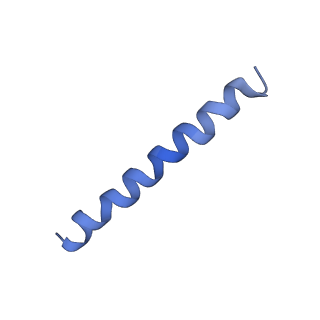 21813_6wky_c_v1-1
Cryo-EM of Form 1 related peptide filament, 29-24-3