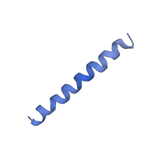 21813_6wky_c_v1-2
Cryo-EM of Form 1 related peptide filament, 29-24-3