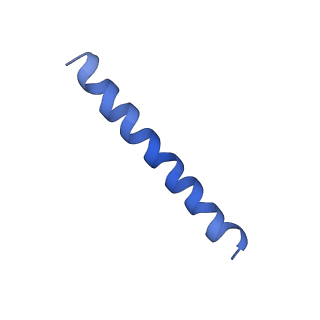 21813_6wky_d_v1-1
Cryo-EM of Form 1 related peptide filament, 29-24-3
