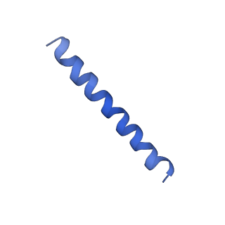 21813_6wky_d_v1-2
Cryo-EM of Form 1 related peptide filament, 29-24-3