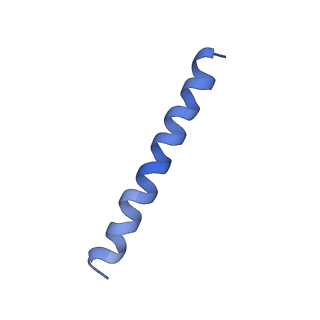 21813_6wky_e_v1-2
Cryo-EM of Form 1 related peptide filament, 29-24-3