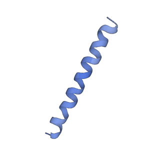 21813_6wky_g_v1-2
Cryo-EM of Form 1 related peptide filament, 29-24-3