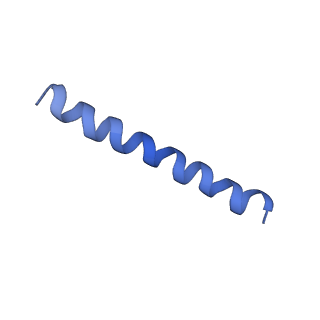 21813_6wky_h_v1-1
Cryo-EM of Form 1 related peptide filament, 29-24-3
