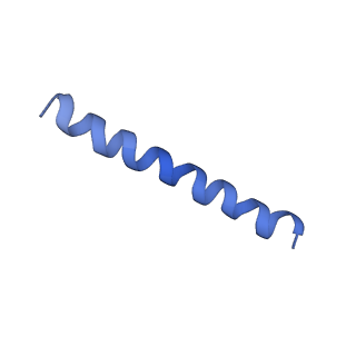 21813_6wky_h_v1-2
Cryo-EM of Form 1 related peptide filament, 29-24-3