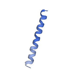 21813_6wky_i_v1-1
Cryo-EM of Form 1 related peptide filament, 29-24-3
