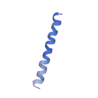 21813_6wky_i_v1-2
Cryo-EM of Form 1 related peptide filament, 29-24-3