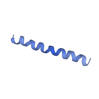 21813_6wky_j_v1-1
Cryo-EM of Form 1 related peptide filament, 29-24-3