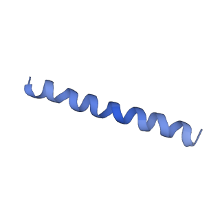 21813_6wky_j_v1-2
Cryo-EM of Form 1 related peptide filament, 29-24-3