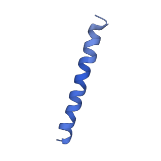 21813_6wky_k_v1-1
Cryo-EM of Form 1 related peptide filament, 29-24-3