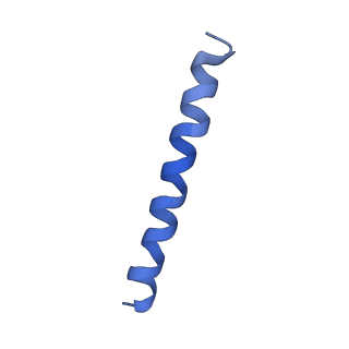 21813_6wky_k_v1-2
Cryo-EM of Form 1 related peptide filament, 29-24-3