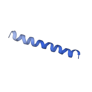 21813_6wky_l_v1-1
Cryo-EM of Form 1 related peptide filament, 29-24-3