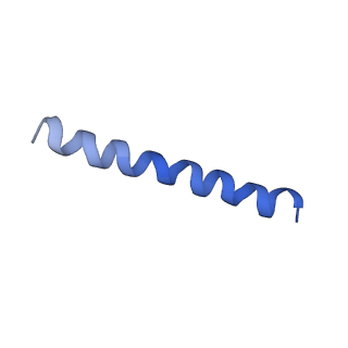 21813_6wky_l_v1-2
Cryo-EM of Form 1 related peptide filament, 29-24-3