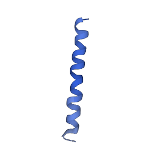 21813_6wky_m_v1-1
Cryo-EM of Form 1 related peptide filament, 29-24-3