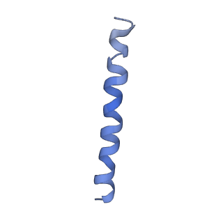 21813_6wky_o_v1-1
Cryo-EM of Form 1 related peptide filament, 29-24-3